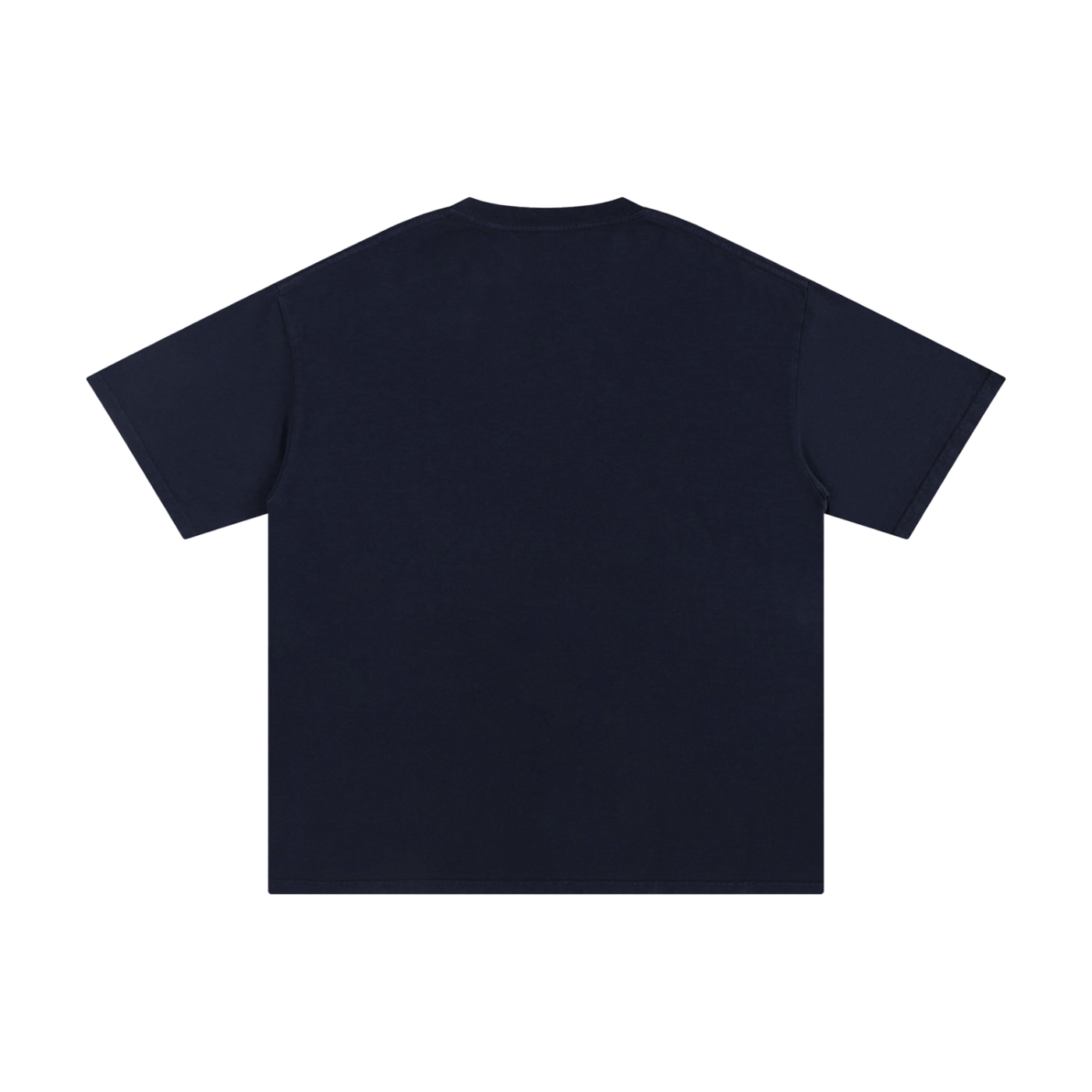 Colossians 1:15 T-Shirt