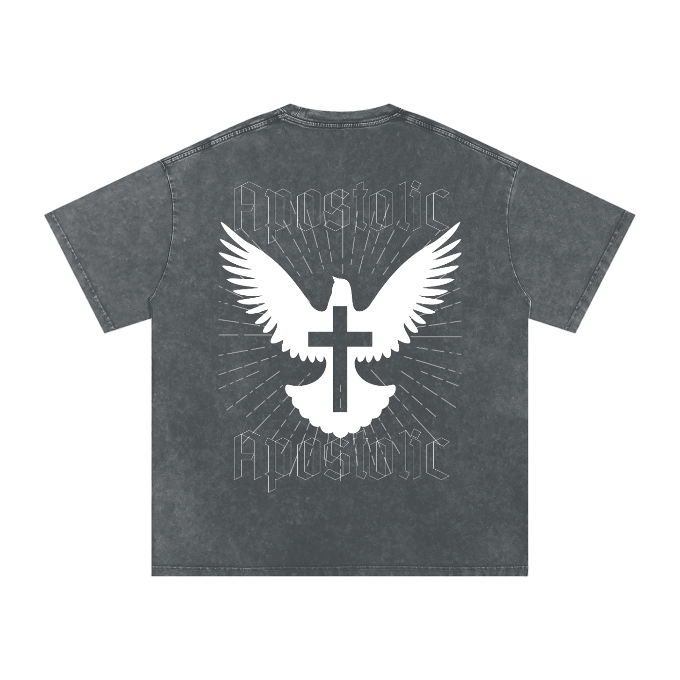 Holy Spirit Washed T-Shirt