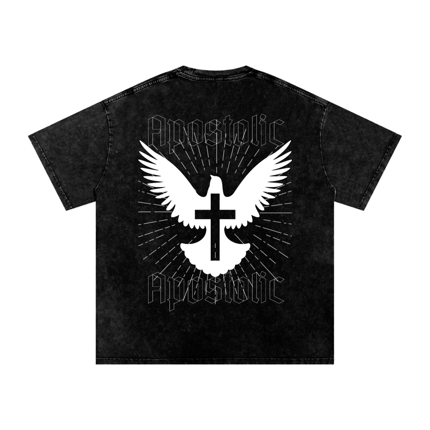 Holy Spirit Washed T-Shirt