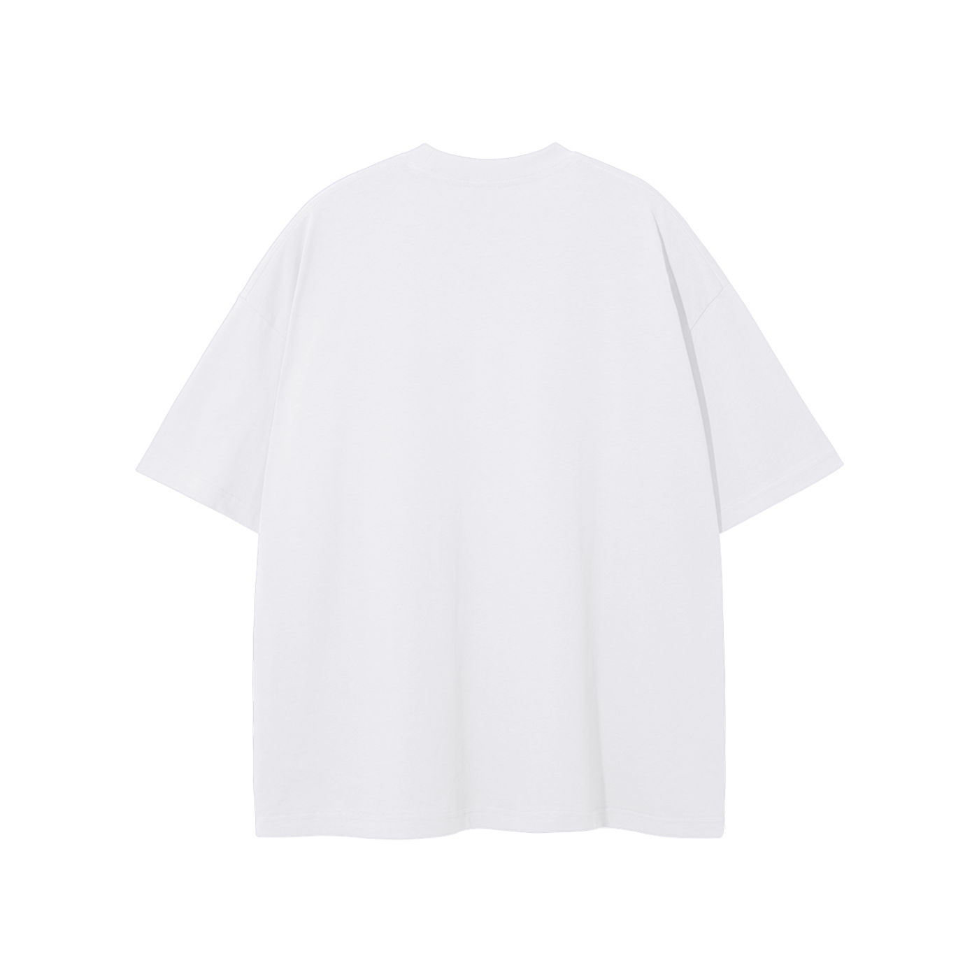 Apostolic Sermon On The Mount T-shirt