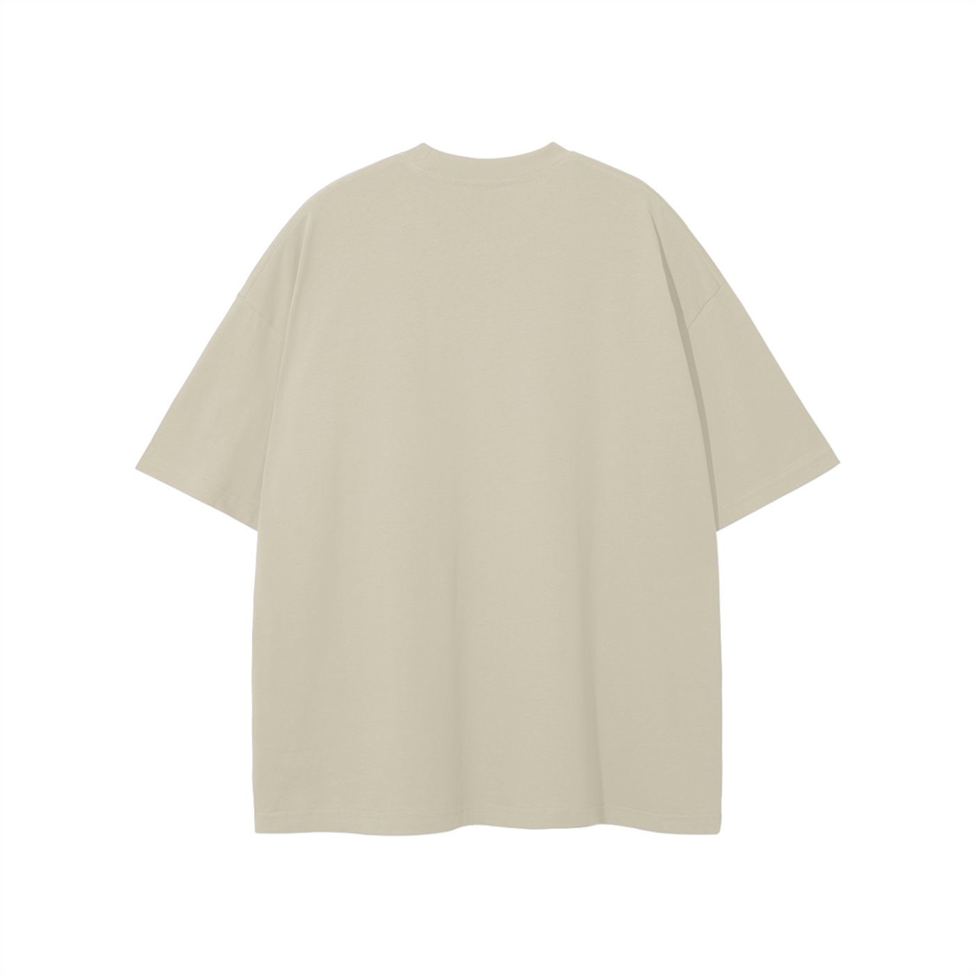 Apostolic Sermon On The Mount T-shirt