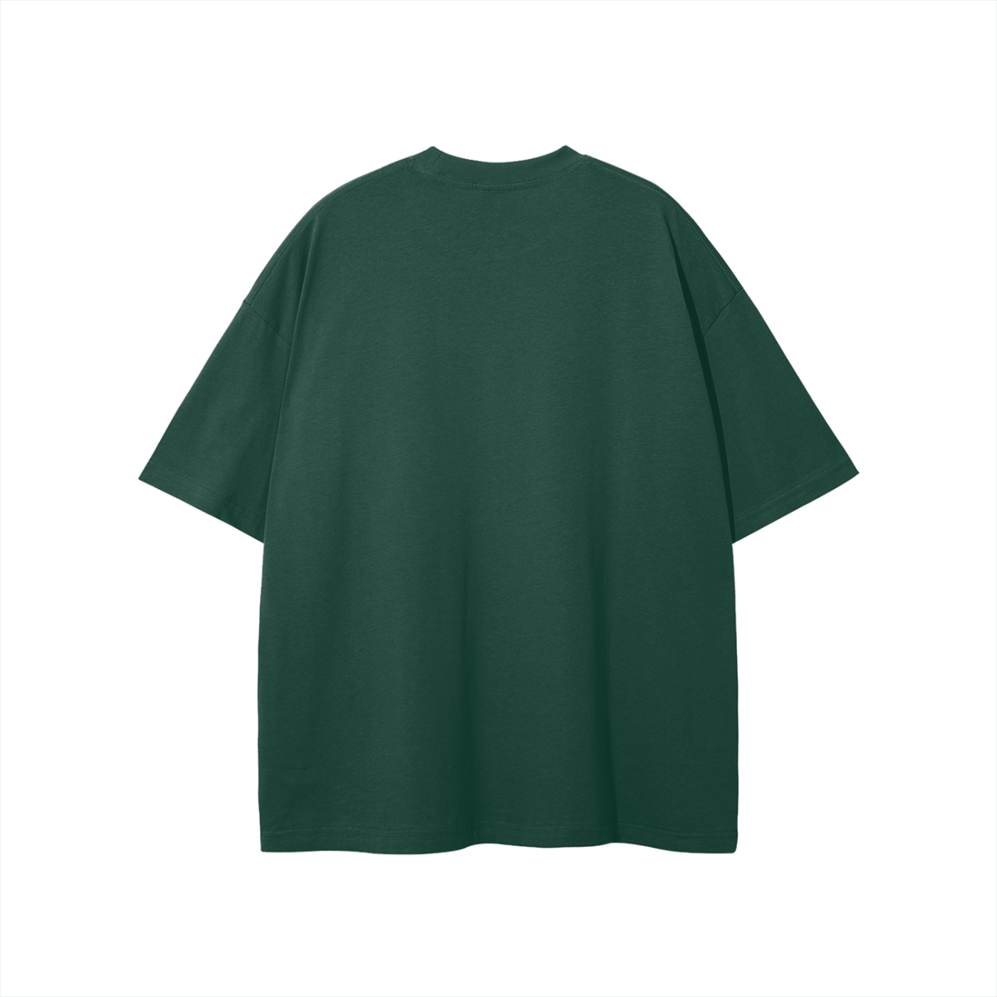 Apostolic Sermon On The Mount T-shirt